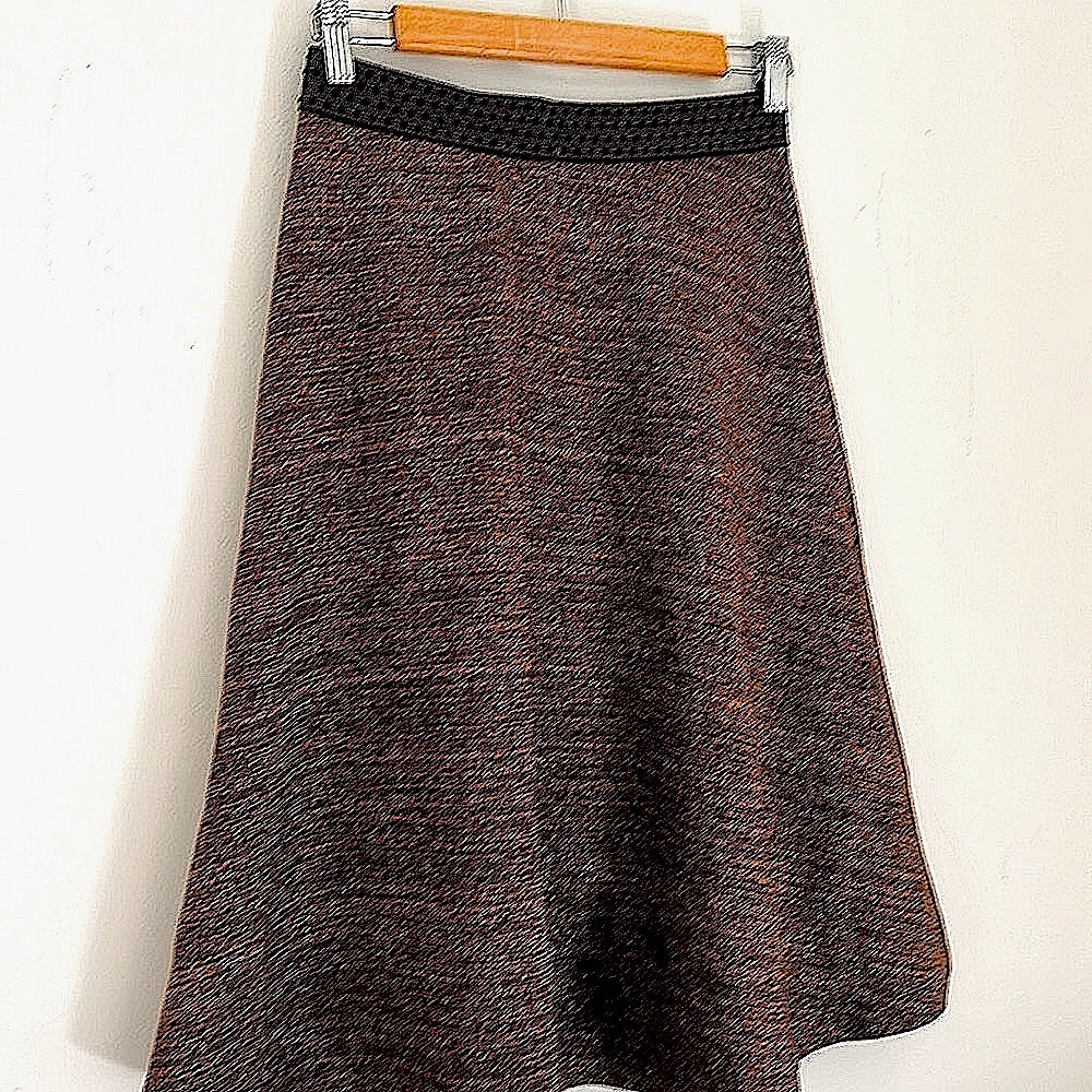 NWT Anthropologie HD in Paris Midi Skirt